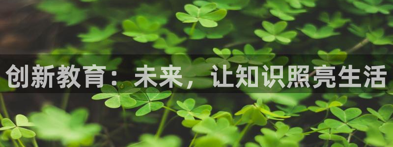 新航娱乐管理有限公司：创新教育：未来，让知识照亮生活