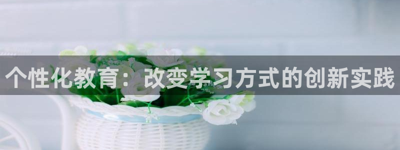 新航娱乐传媒怎么样：个性化教育：改变学习方式的创新实践