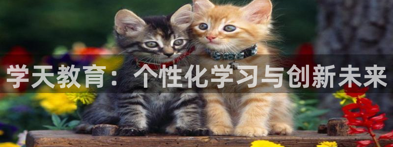 新航虚拟娱乐：学天教育：个性化学习与创新未来