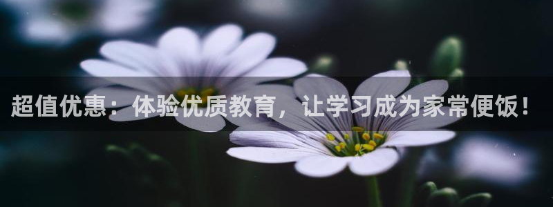 新航娱乐棋牌：超值优惠：体验优质教育，让学习成为家常便饭！