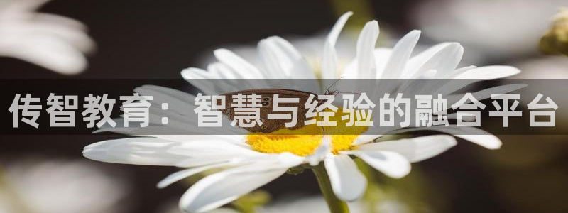 新航娱乐公司旗下艺人：传智教育：智慧与经验的融合平台