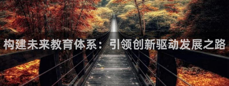 新航娱乐入网要求：构建未来教育体系：引领创新驱动发展之路