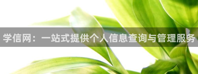 新航娱乐传媒怎么样知乎：学信网：一站式提供个人信息查询与管理