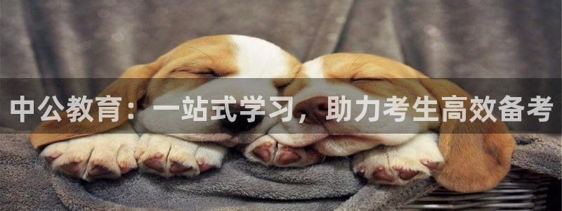 新航娱乐平台注册：中公教育：一站式学习，助力考生高效备考