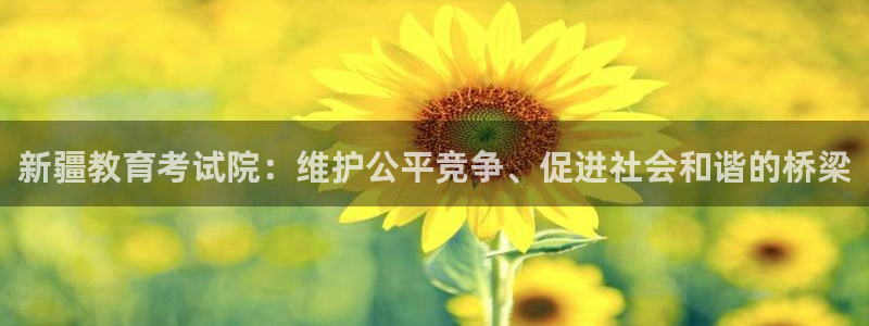 新航海娱乐会所电话：新疆教育考试院：维护公平竞争、促进社会和