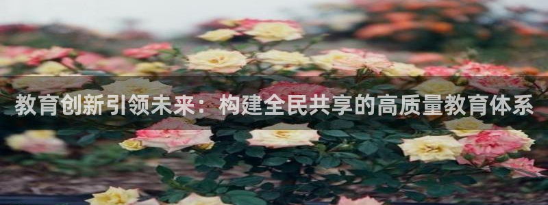 新航娱乐公司怎么样啊：教育创新引领未来：构建全民共享的高质量