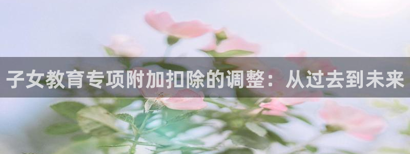 新航娱乐有限公司：子女教育专项附加扣除的调整：从过去到未来