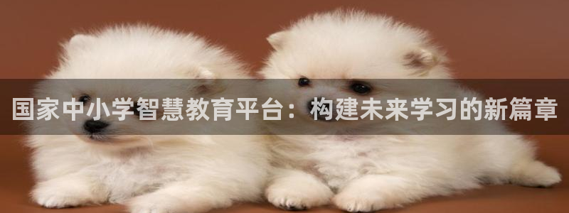 新航娱乐登陆：国家中小学智慧教育平台：构建未来学习的新篇章