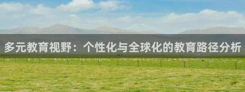 新航娱乐公司问题：多元教育视野：个性化与全球化的教育路径分析