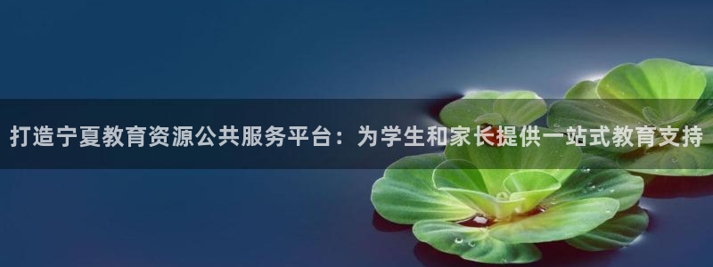 新航娱乐登陆：打造宁夏教育资源公共服务平台：为学生和家长提供