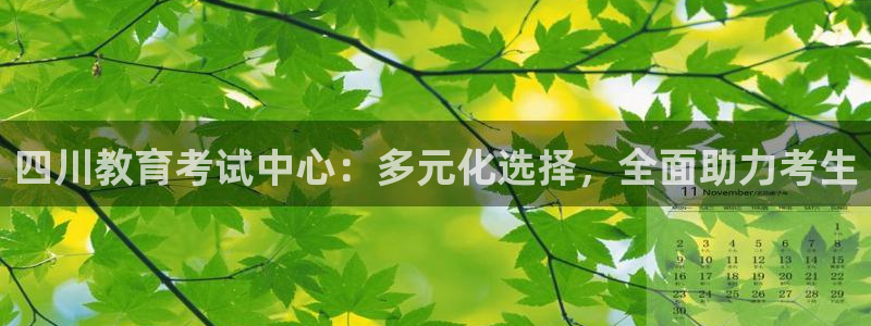 新航娱乐登录入口：四川教育考试中心：多元化选择，全面助力考生