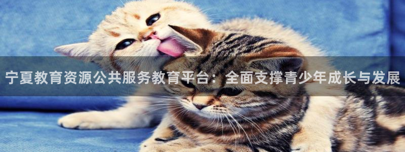 新航娱乐传媒招聘信息网：宁夏教育资源公共服务教育平台：全面支