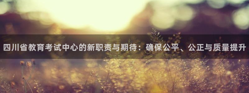 新航娱乐app下载安装：四川省教育考试中心的新职责与期待：确