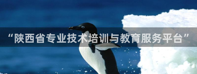 新航海娱乐会所：“陕西省专业技术培训与教育服务平台”
