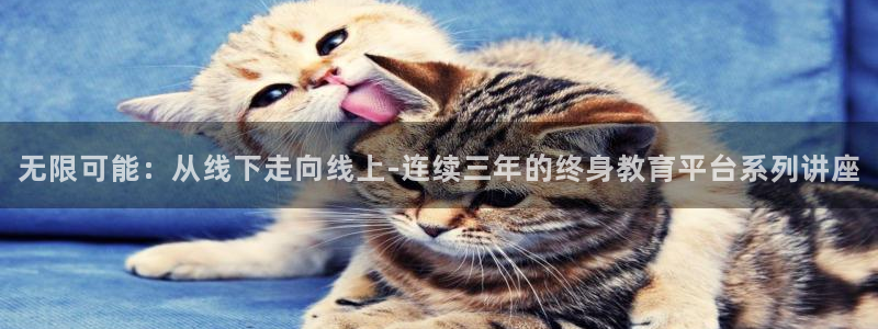 新航娱乐公司旗下艺人：无限可能：从线下走向线上-连续三年的终