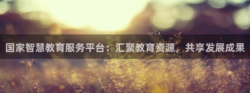 新航娱乐官网登录入口：国家智慧教育服务平台：汇聚教育资源，共