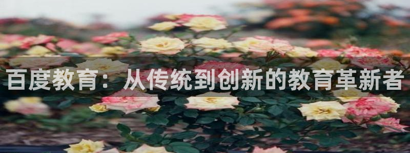 张掖新航线娱乐会所：百度教育：从传统到创新的教育革新者