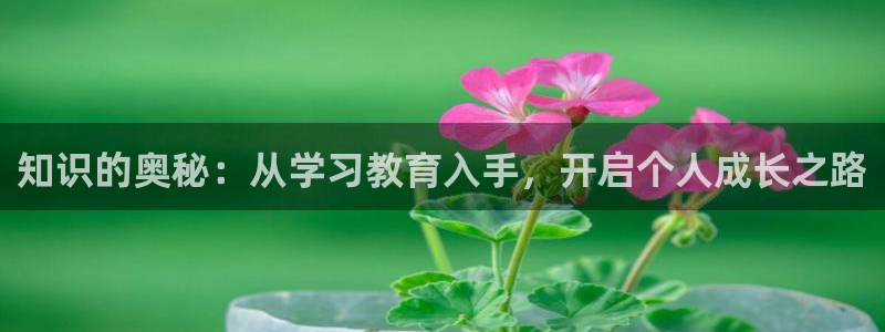 新航娱乐有限公司地址：知识的奥秘：从学习教育入手，开启个人成