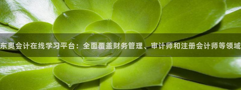 新航娱乐的最新动态报道：东奥会计在线学习平台：全面覆盖财务管