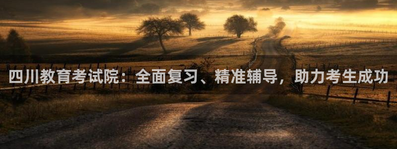 新航娱乐直开怎么下载：四川教育考试院：全面复习、精准辅导，助