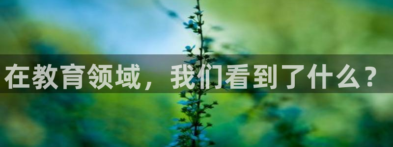 新航娱乐入网要求：在教育领域，我们看到了什么？