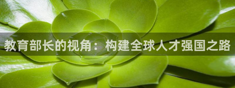 新航娱乐公司招聘信息网：教育部长的视角：构建全球人才强国之路