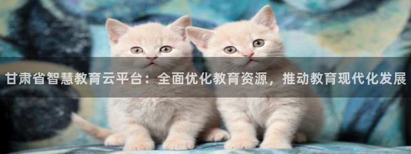 新航娱乐街7O935：甘肃省智慧教育云平台：全面优化教育资源