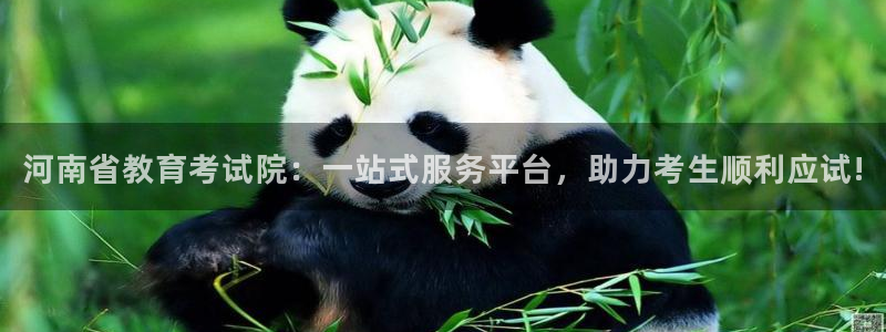 新航娱乐招商Q：河南省教育考试院：一站式服务平台，助力考生顺