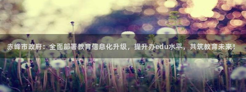 新航娱乐公司问题解决