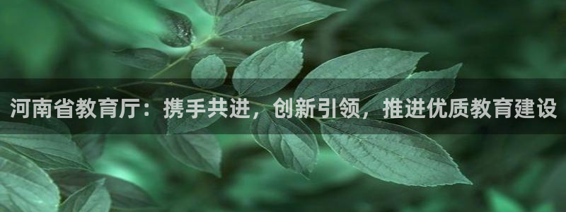 新航娱乐公司怎么样：河南省教育厅：携手共进，创新引领，推进优