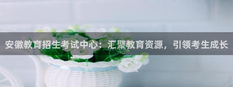 新航娱乐公司艺人：安徽教育招生考试中心：汇聚教育资源，引领考