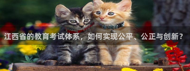 新航娱乐登录大厅：江西省的教育考试体系，如何实现公平、公正与