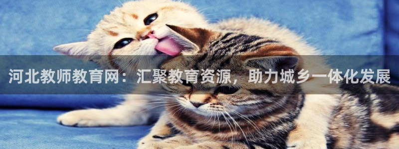 新航娱乐最新娱乐项目介绍：河北教师教育网：汇聚教育资源，助力