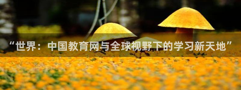 新航娱乐官网登录入口：“世界：中国教育网与全球视野下的学习新