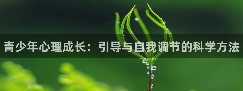 新航娱乐公司地址电话
