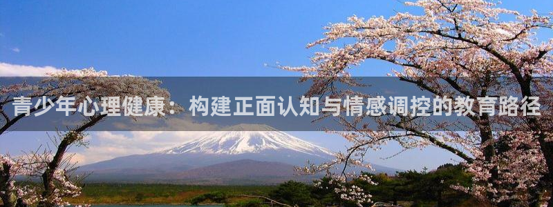 云顶新航国际娱乐城：青少年心理健康：构建正面认知与情感调控的