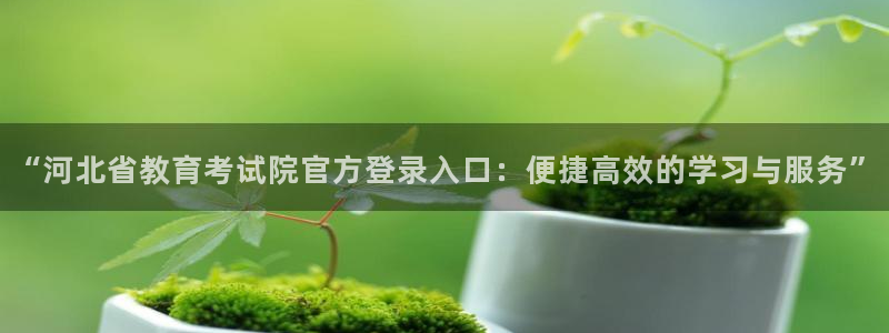 兰山新航线娱乐会所：“河北省教育考试院官方登录入口：便捷高效