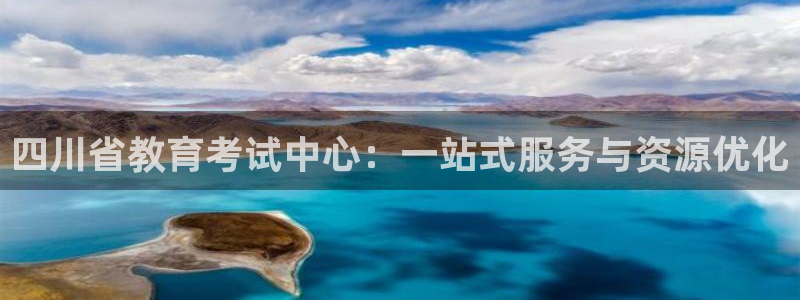新航娱乐公司问题解决：四川省教育考试中心：一站式服务与资源优