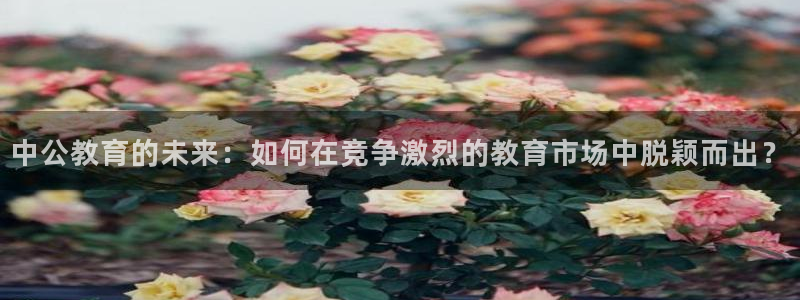 新航娱乐公司问题：中公教育的未来：如何在竞争激烈的教育市场中
