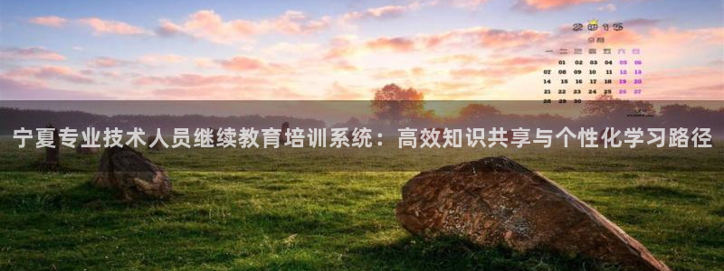 新航娱乐注册：宁夏专业技术人员继续教育培训系统：高效知识共享