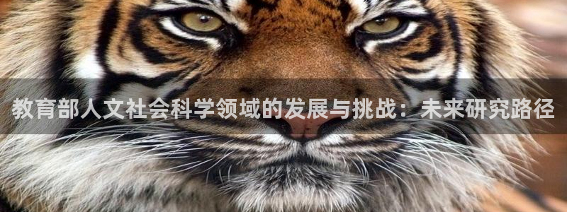 新航娱乐平台官网：教育部人文社会科学领域的发展与挑战：未来研