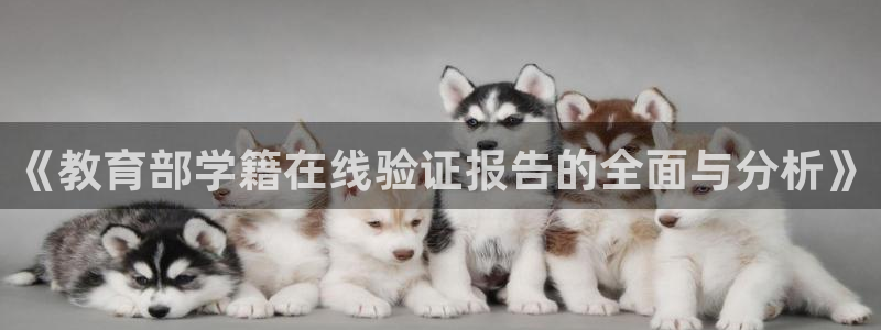 德阳娱乐城最新航拍：《教育部学籍在线验证报告的全面与分析》