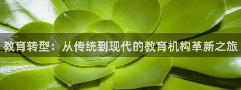 新航娱乐黑：教育转型：从传统到现代的教育机构革新之旅