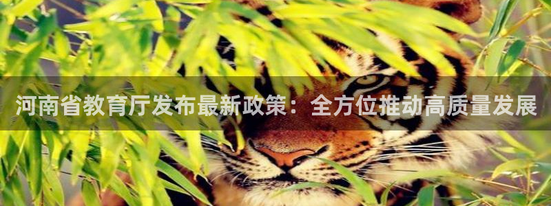 中国新航娱乐官网入口：河南省教育厅发布最新政策：全方位推动高