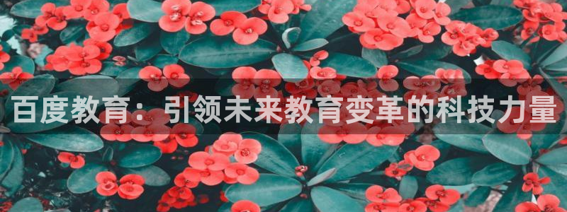 武汉中创新航娱乐室：百度教育：引领未来教育变革的科技力量