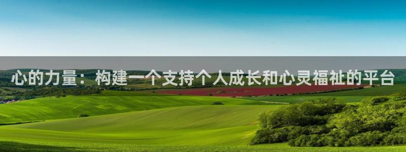 娱乐界的新航母：心的力量：构建一个支持个人成长和心灵福祉的平