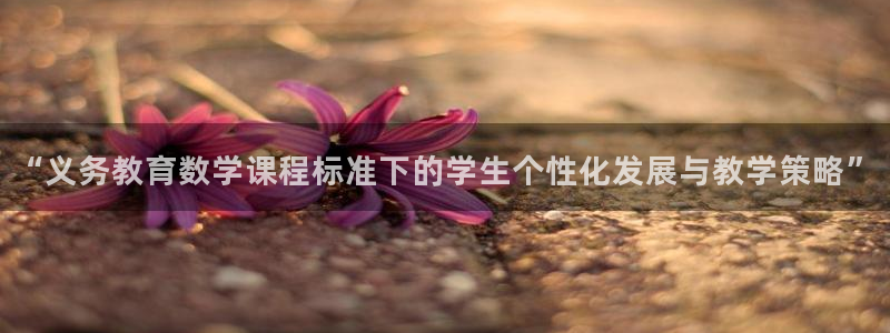 新航娱乐被国家认可吗：“义务教育数学课程标准下的学生个性化发