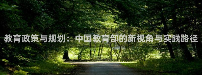 新航城娱乐传媒有限公司：教育政策与规划：中国教育部的新视角与