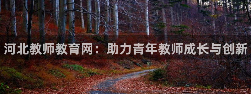 新航娱乐有限公司怎么样：河北教师教育网：助力青年教师成长与创