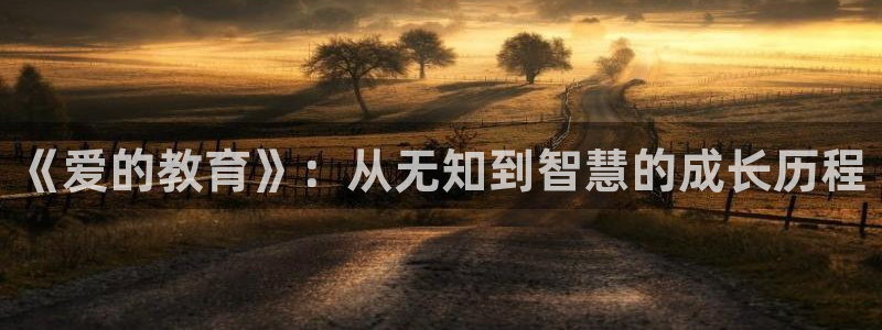 新航娱乐客服电话：《爱的教育》：从无知到智慧的成长历程